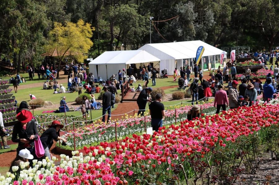 Araluen Botanic Park Tour, Perth Image