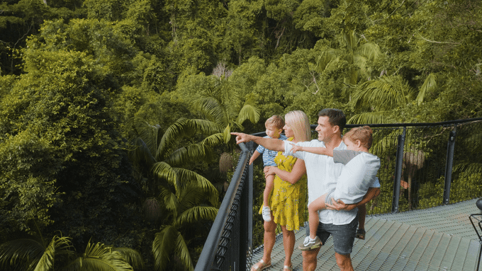 Tamborine Rainforest Skywalk