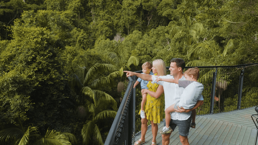 Tamborine Rainforest Skywalk Tickets Get The Best Deals!