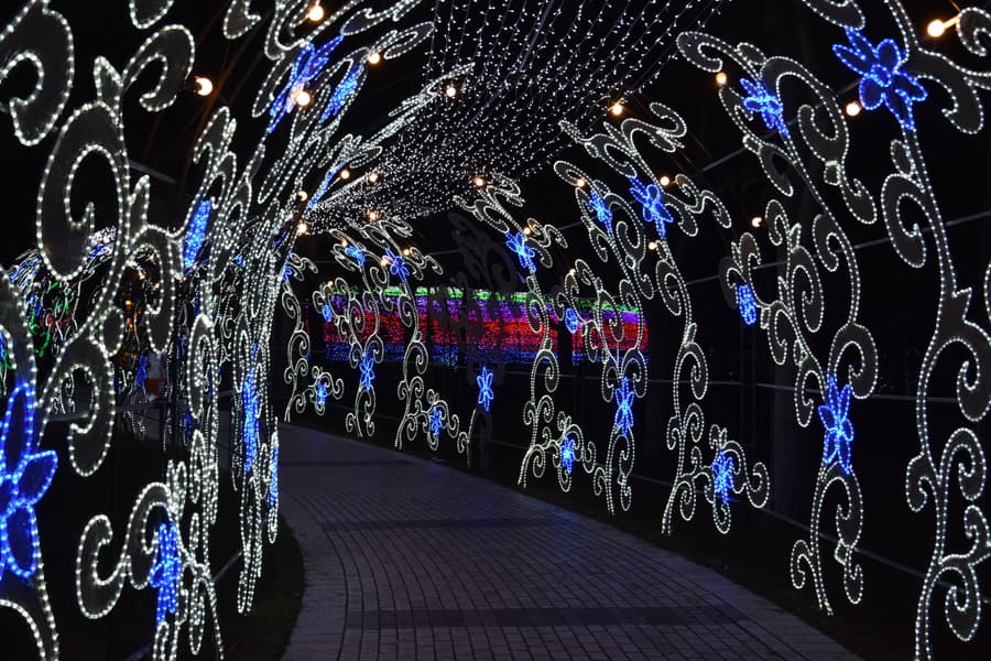 Dubai Garden Glow Ticket Image