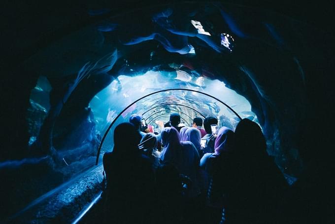 OCEAN TUNNEL