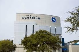 Chesapeake Bay Aquarium is a must-visit