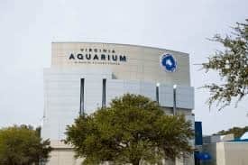 Chesapeake Bay Aquarium is a must-visit