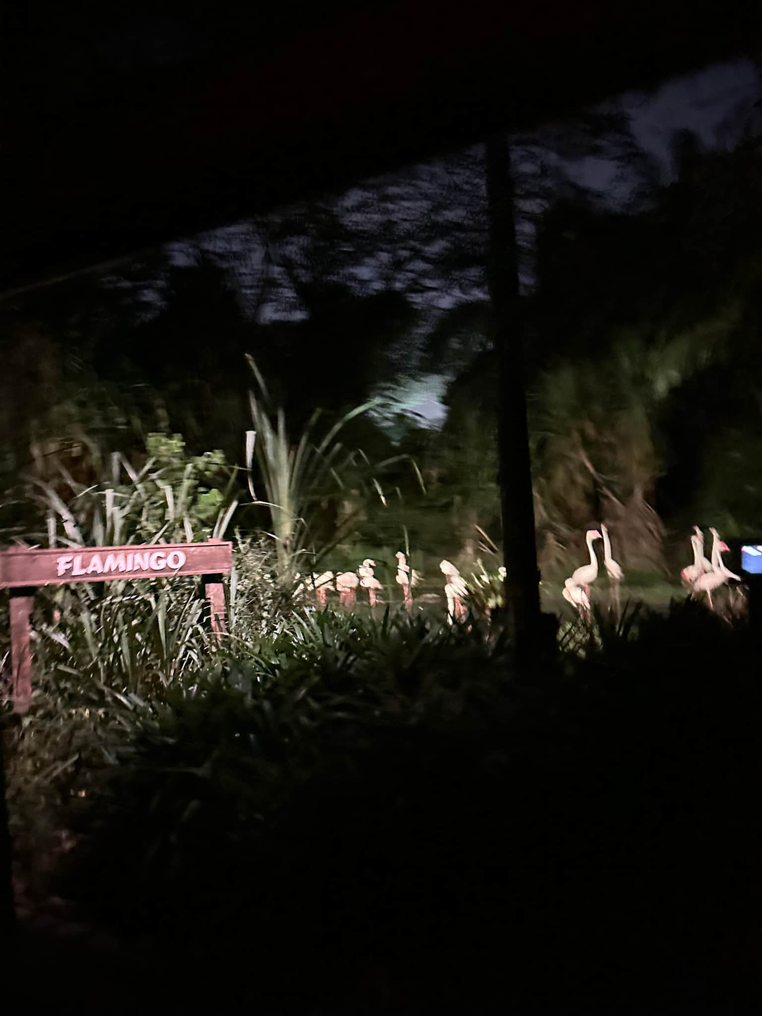 Photo from Sally Bao's trip