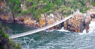 Day Trip to Tsitsikamma