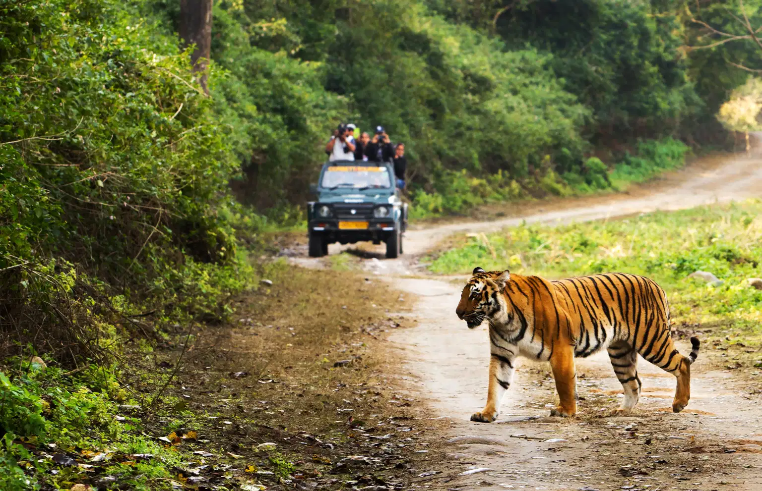 Exclusive Uttarakhand with Jim Corbett Safari