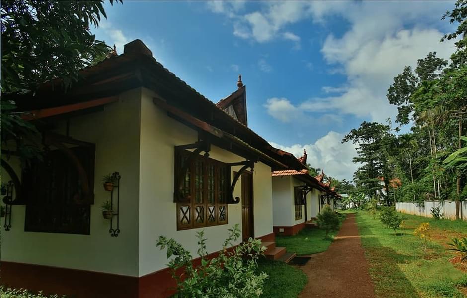 A Boutique Backwater Stay in Alleppey Image