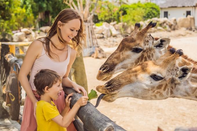 Al Ain Zoo Dubai