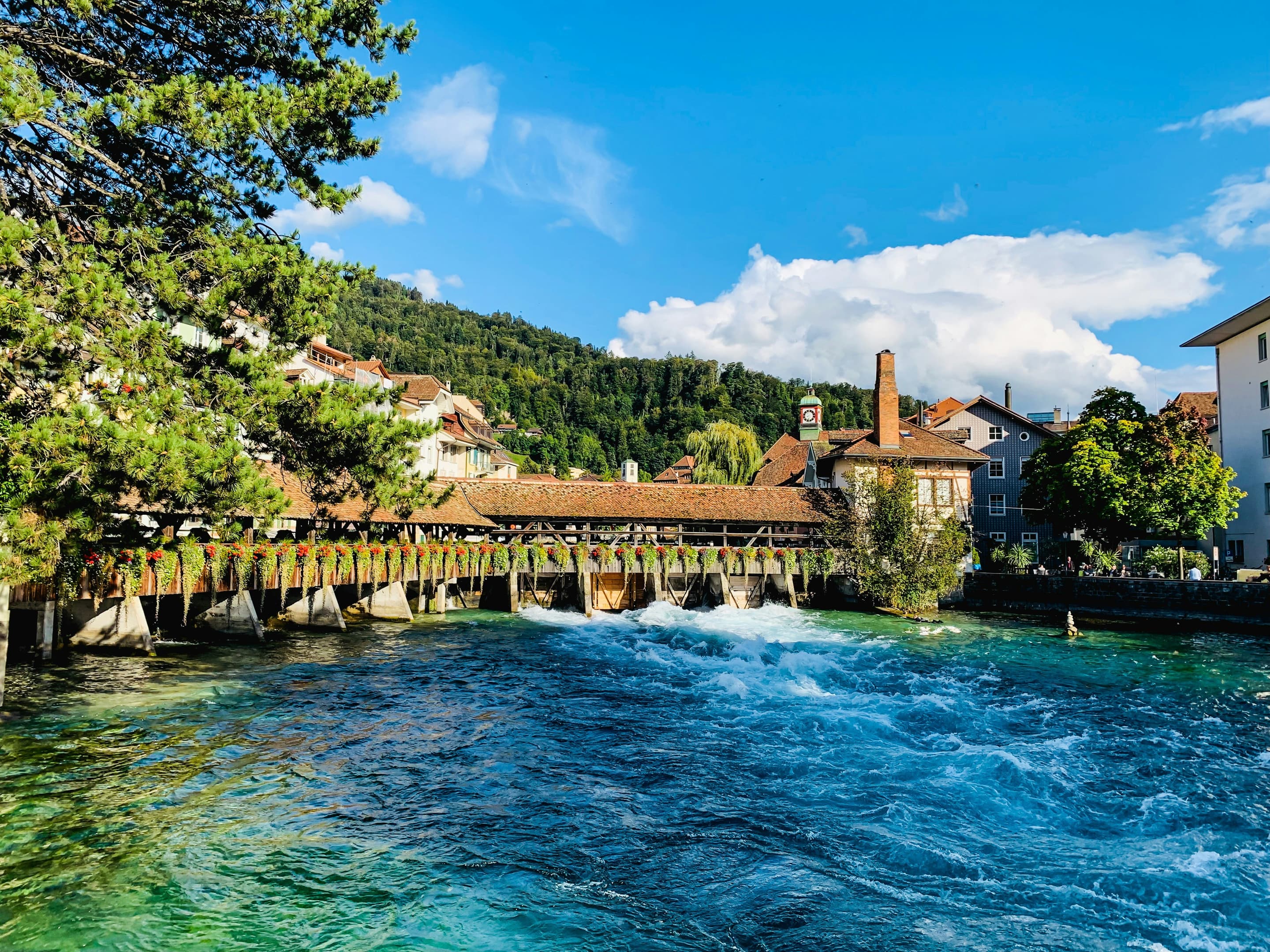 Activities to do in Thun
