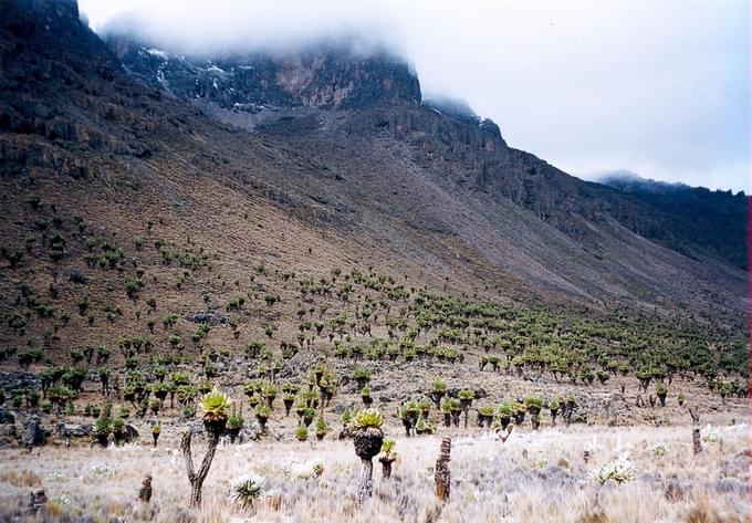 mountkenya.jpg