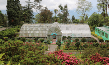 Kohima Botanical Garden
