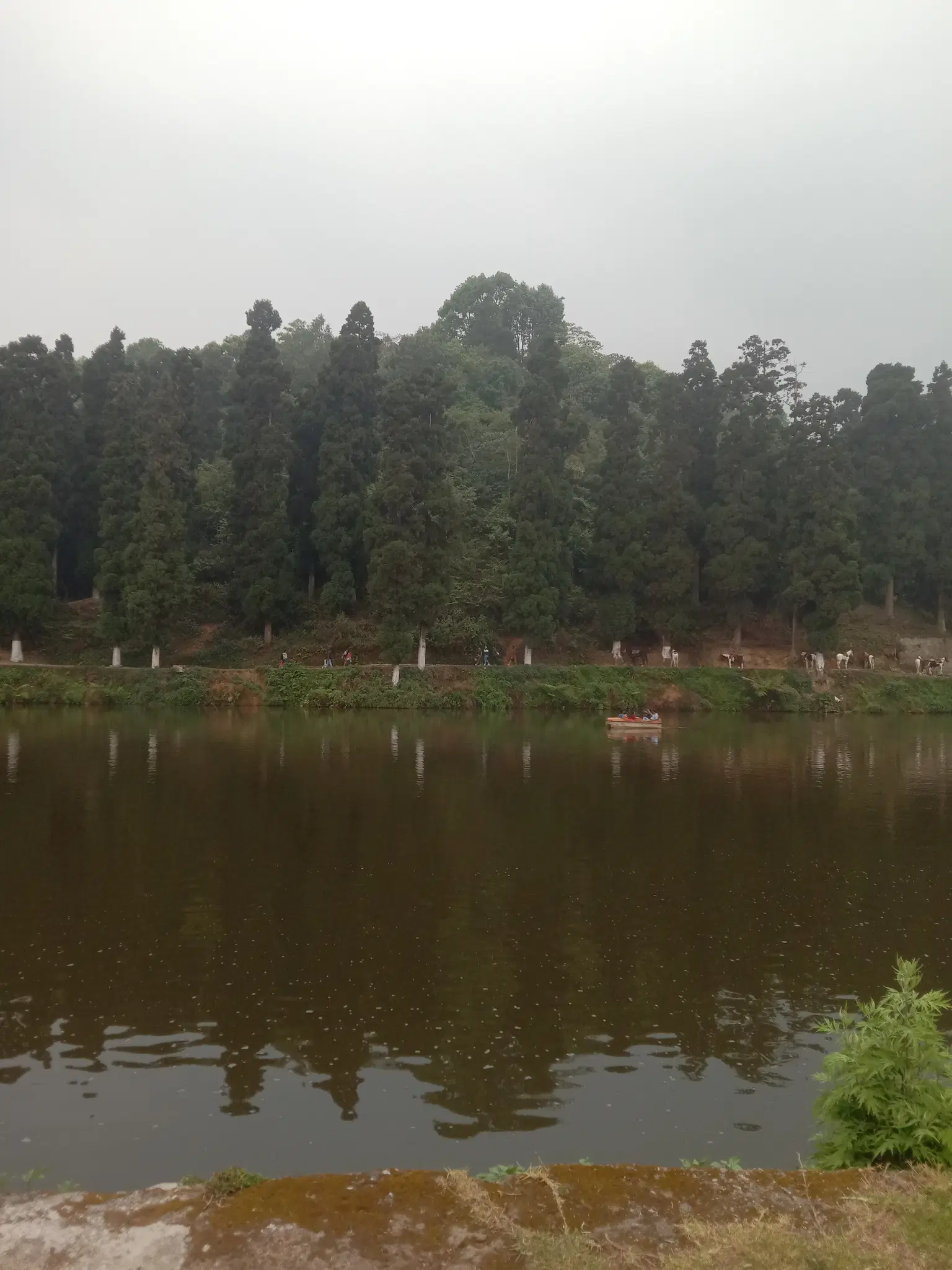 Photo from Prakash Shankar Shinde's trip