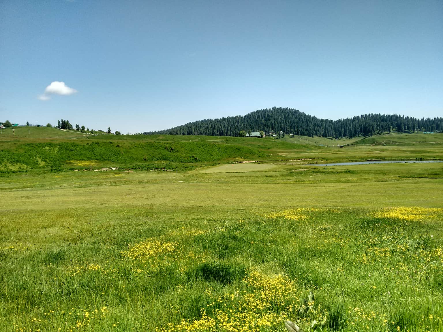 Gulmarg Wildlife Sanctuary, <em>Gulmarg</em>