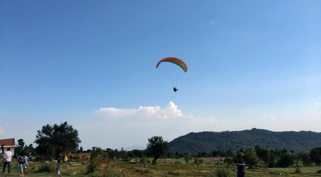 Paragliding In Dharamshala Image