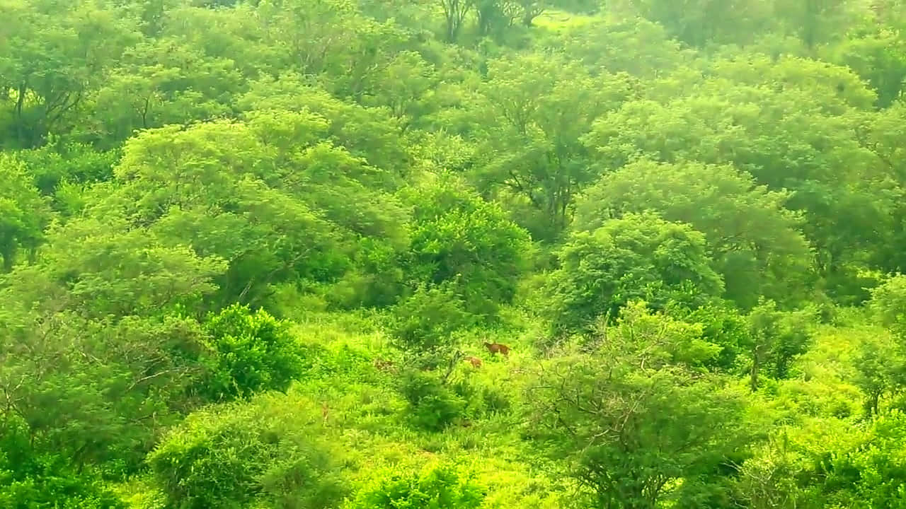 Photo from Chandraketu Bharadwaj's trip