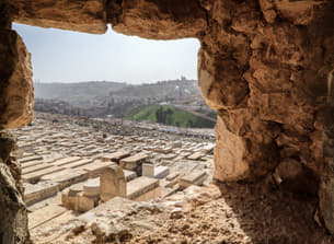 Un7y0lovxrlfivuk0rc38xjsemly shutterstock 1239318868