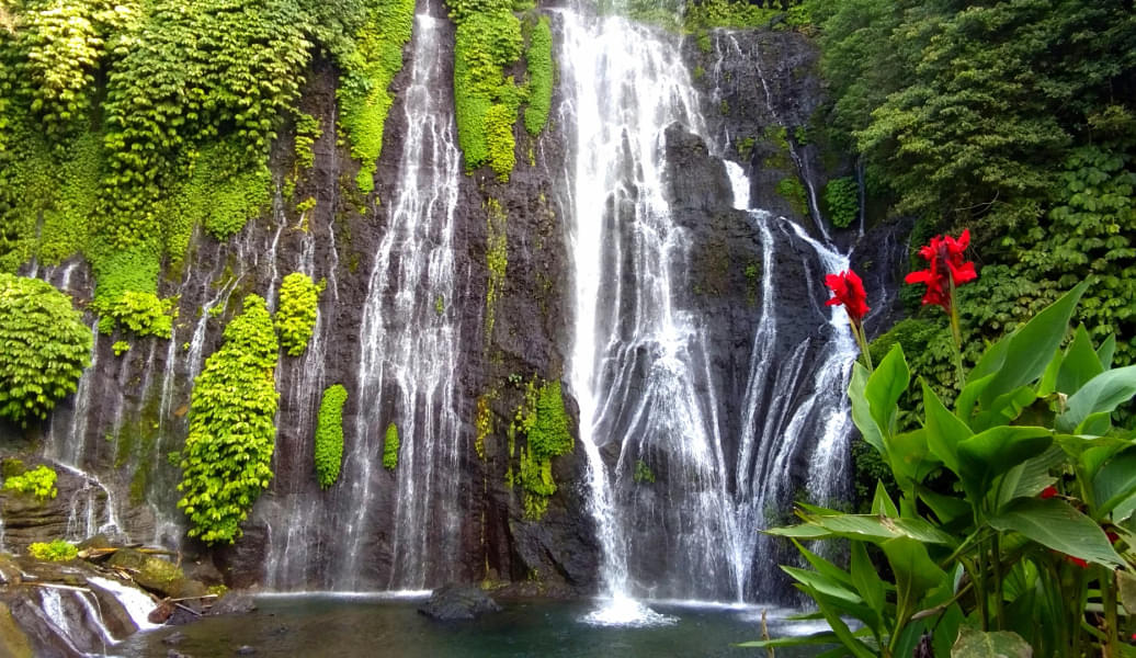 Bali Hidden Waterfalls Trip Image