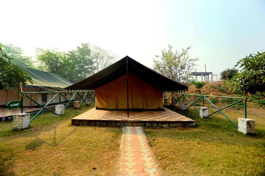 Camp Wild Dhauj  Image