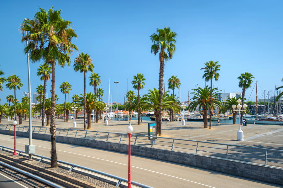 Stroll around the beautiful Barcelona beach with your loved ones