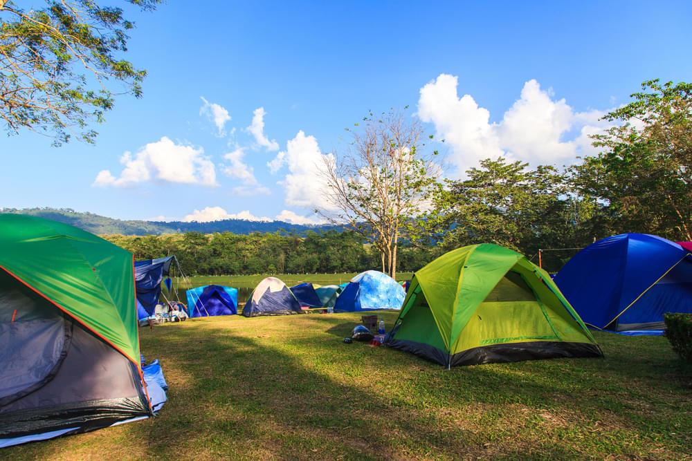 Camping around Panna - Upto 35% Off