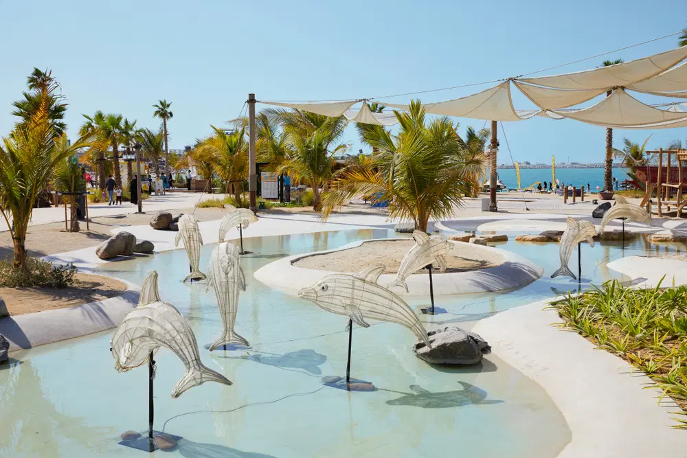 Dolphin Bay