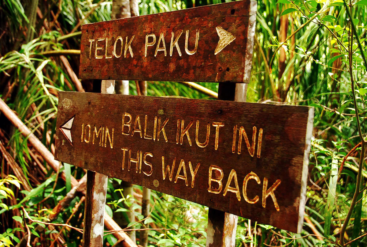 Bako National Park Overview