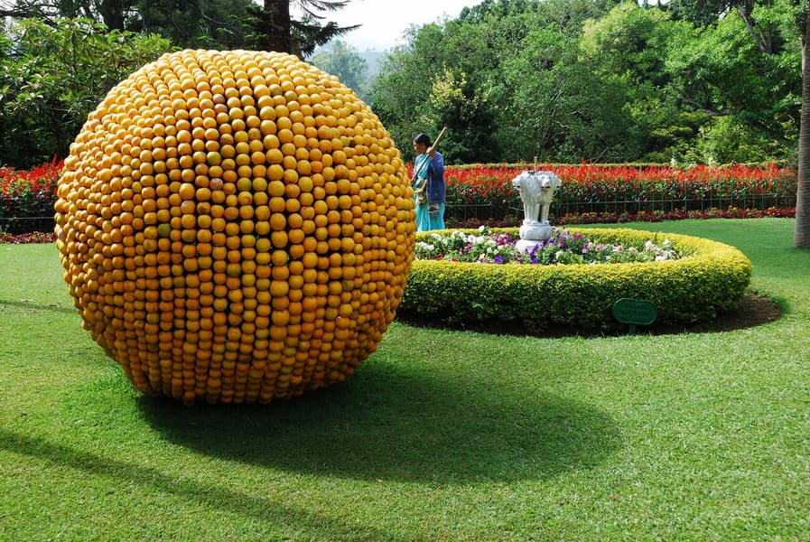 Coonoor Sightseeing Package​ Image