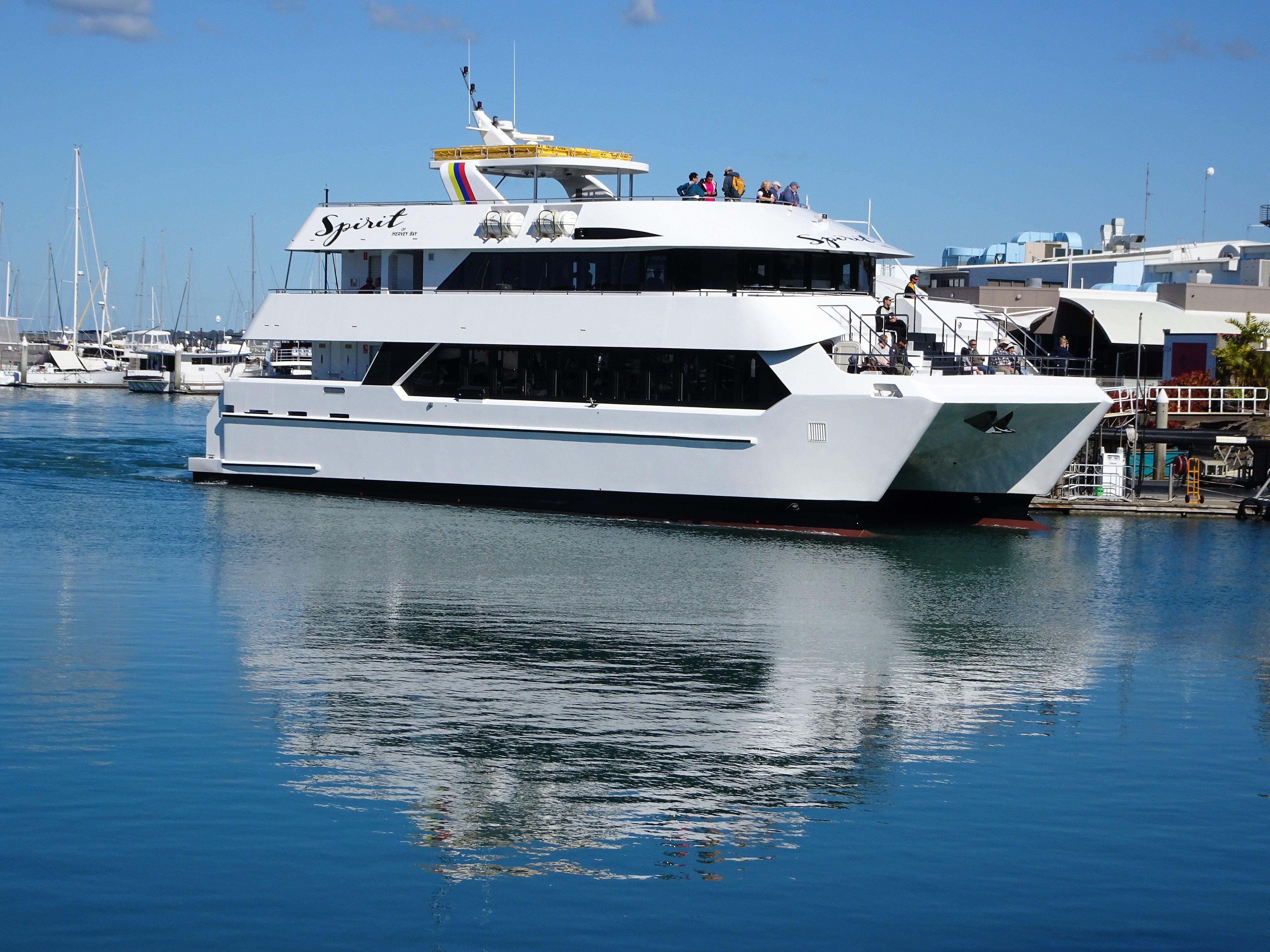 boat for whale watching at cabo san lucas mexico