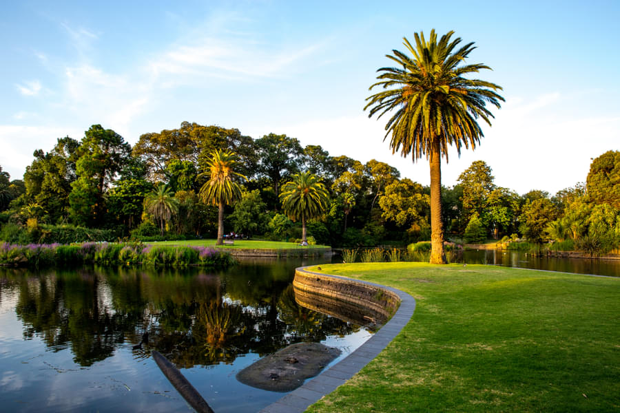 Royal-Botanic-Gardens-Victoria Image