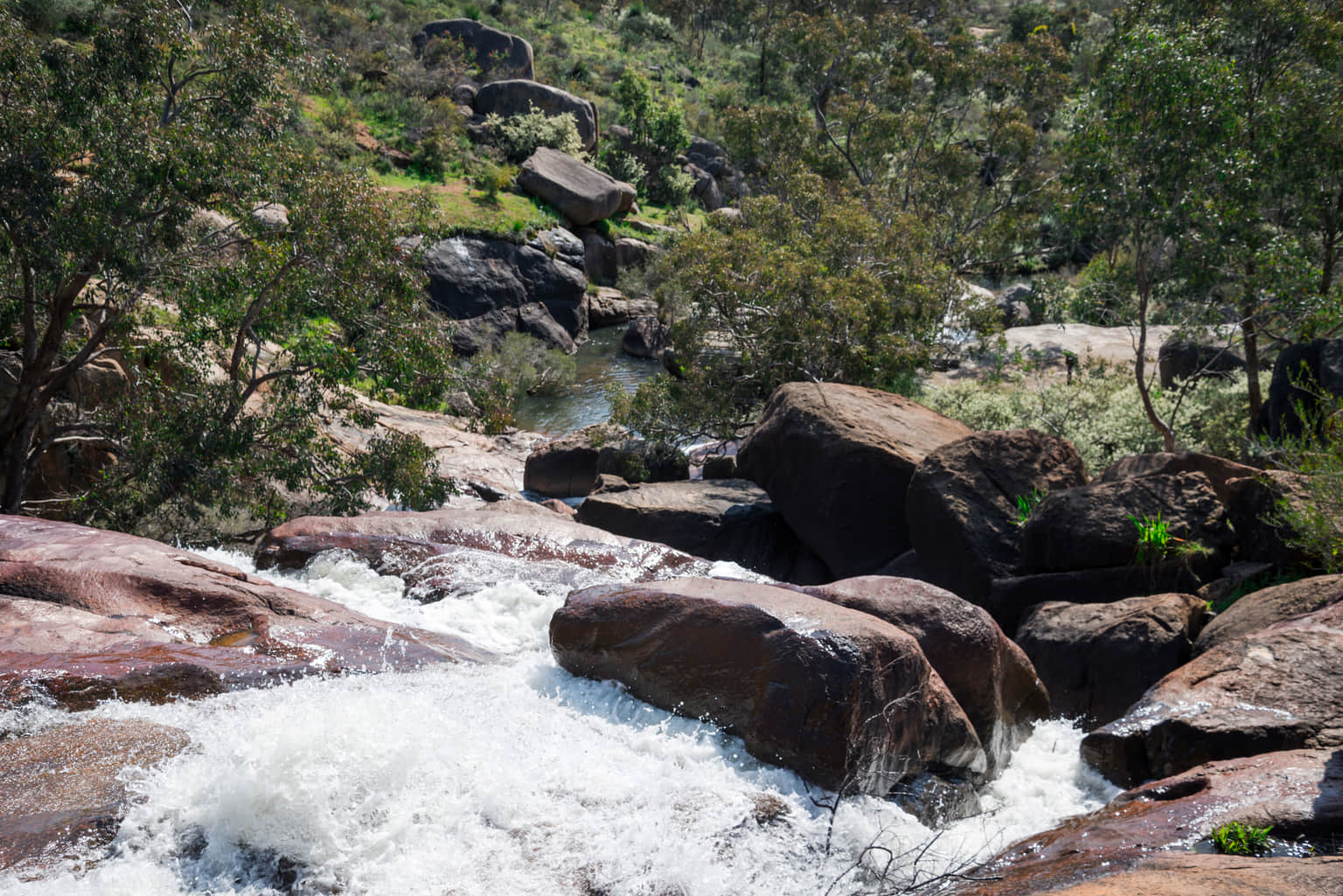 John Forrest National Park, <em>Perth</em>