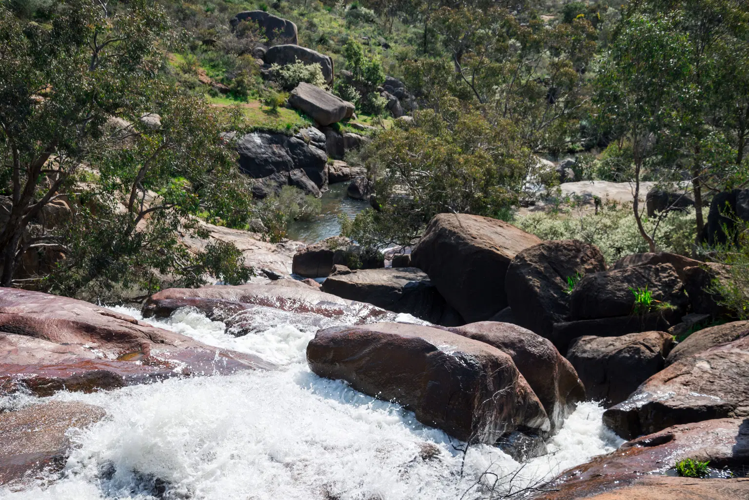 John Forrest National Park