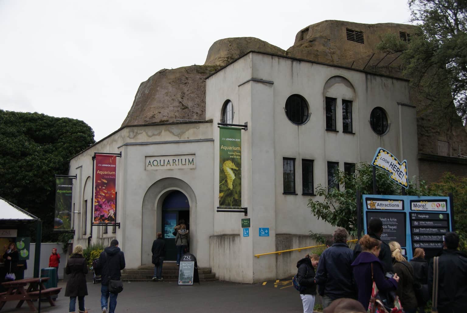 The Aquarium