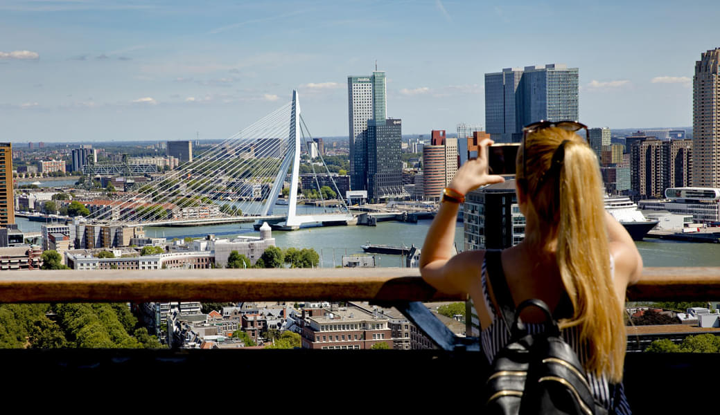 Rotterdam, Delft & The Hague Full-Day Tour Image
