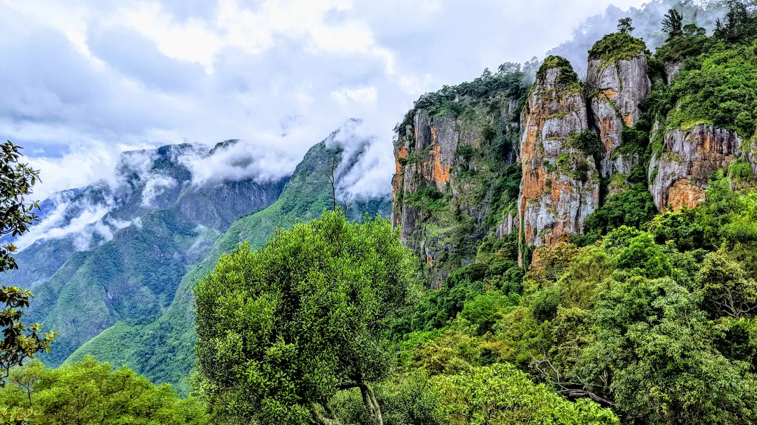 Full-Day Kodaikanal Sightseeing Tour