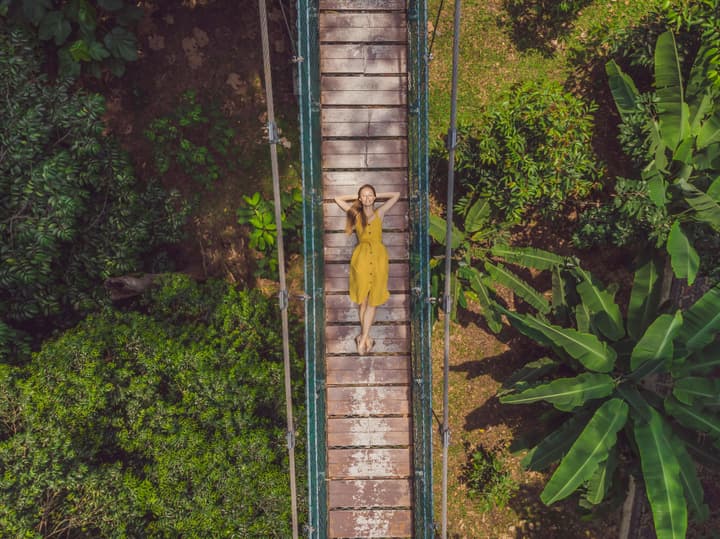 KL Forest Eco Park | Explore The Only Tropical Rainforest in KL!