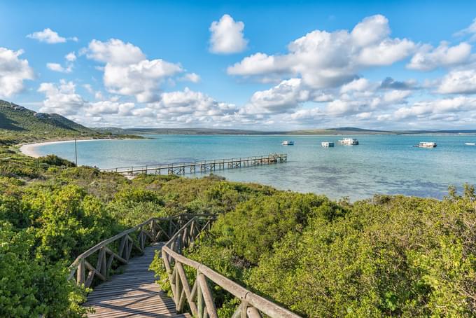 West Coast National Park, South Africa