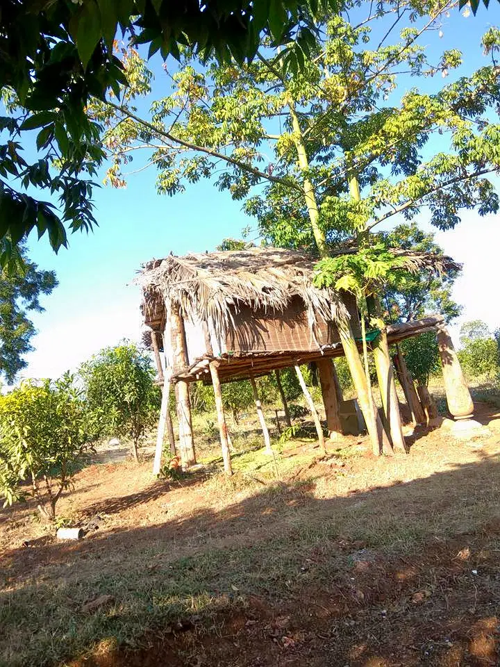 Photo from Ipsita Nandy's trip