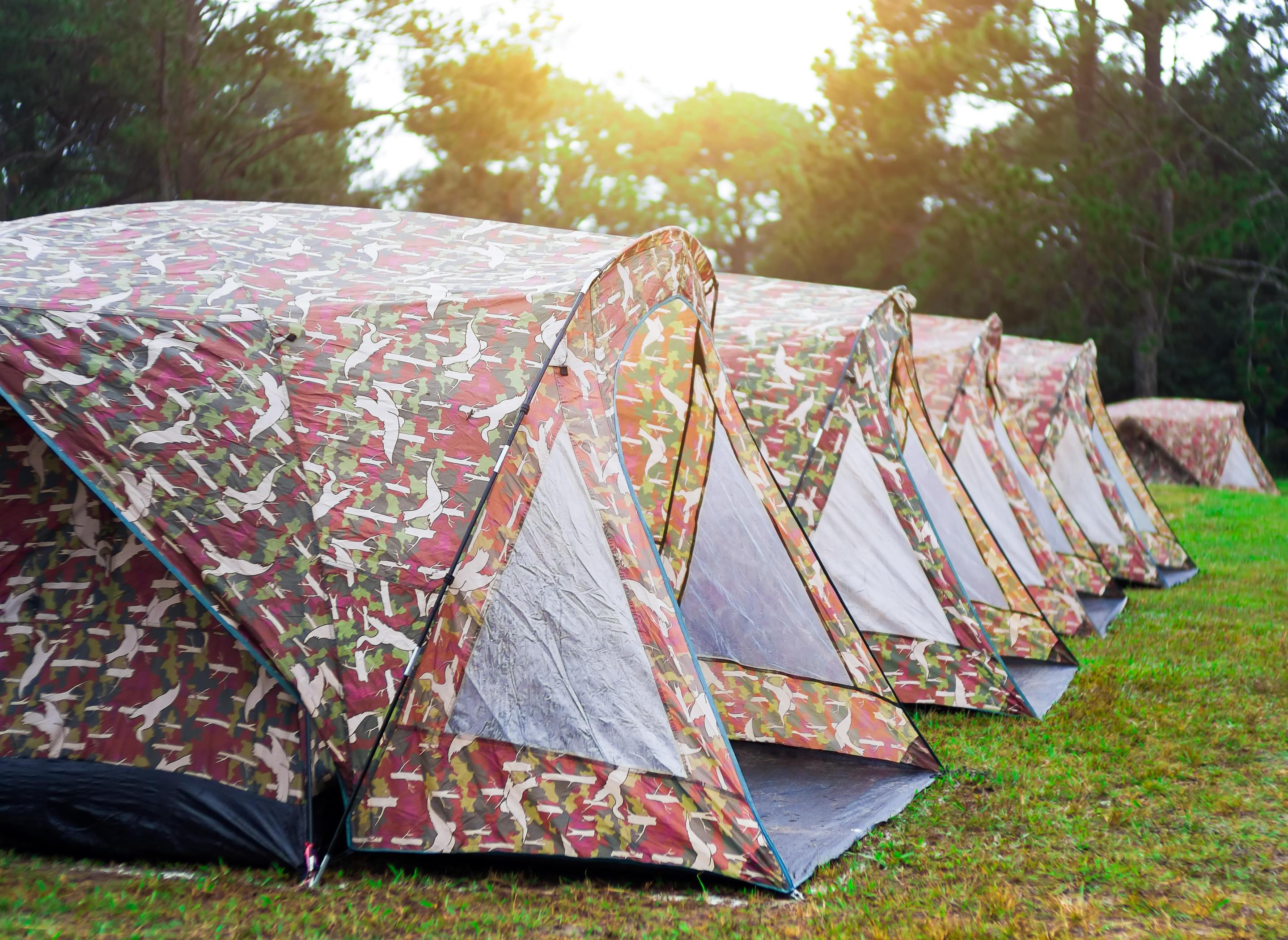 Budget Camping in Kangra
