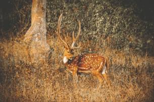 Uszlygcbwjxkzezbki6mph3wkoai jithu jith ns75ud366c8 unsplash