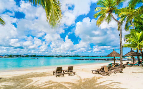 Things to do in <em>Grand Bay</em>