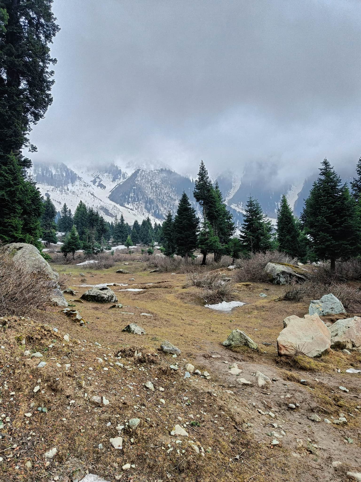 Photo from VIPIN T .'s trip