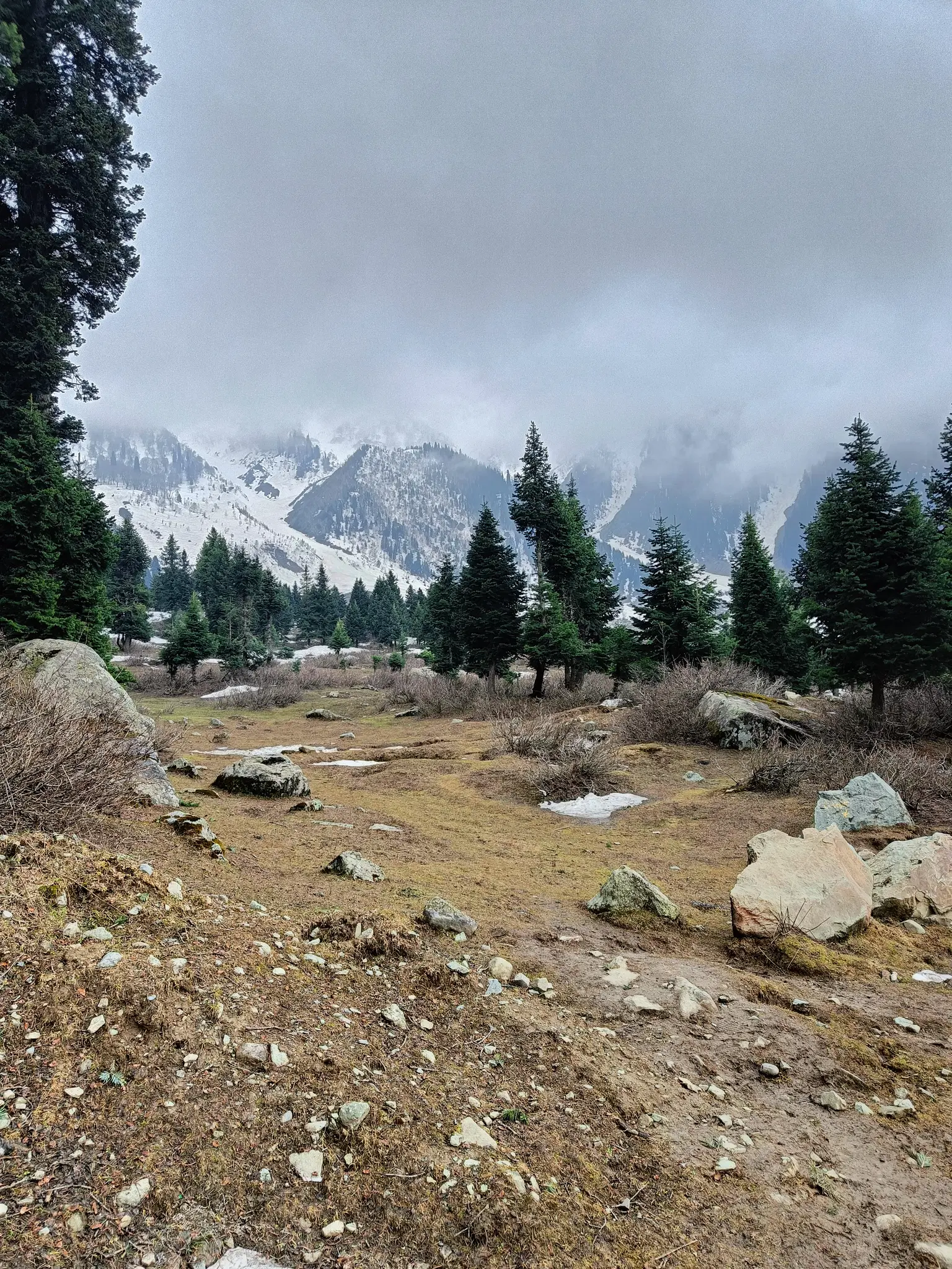 Photo from VIPIN T .'s trip