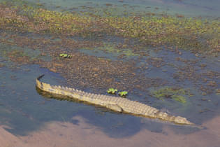 Utqsosgiom3d8i9r8fkilnhy1rb4 49475903423 6f1c11145f k