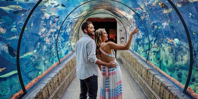 Spend an amazing time at the Shark Reef Aquarium