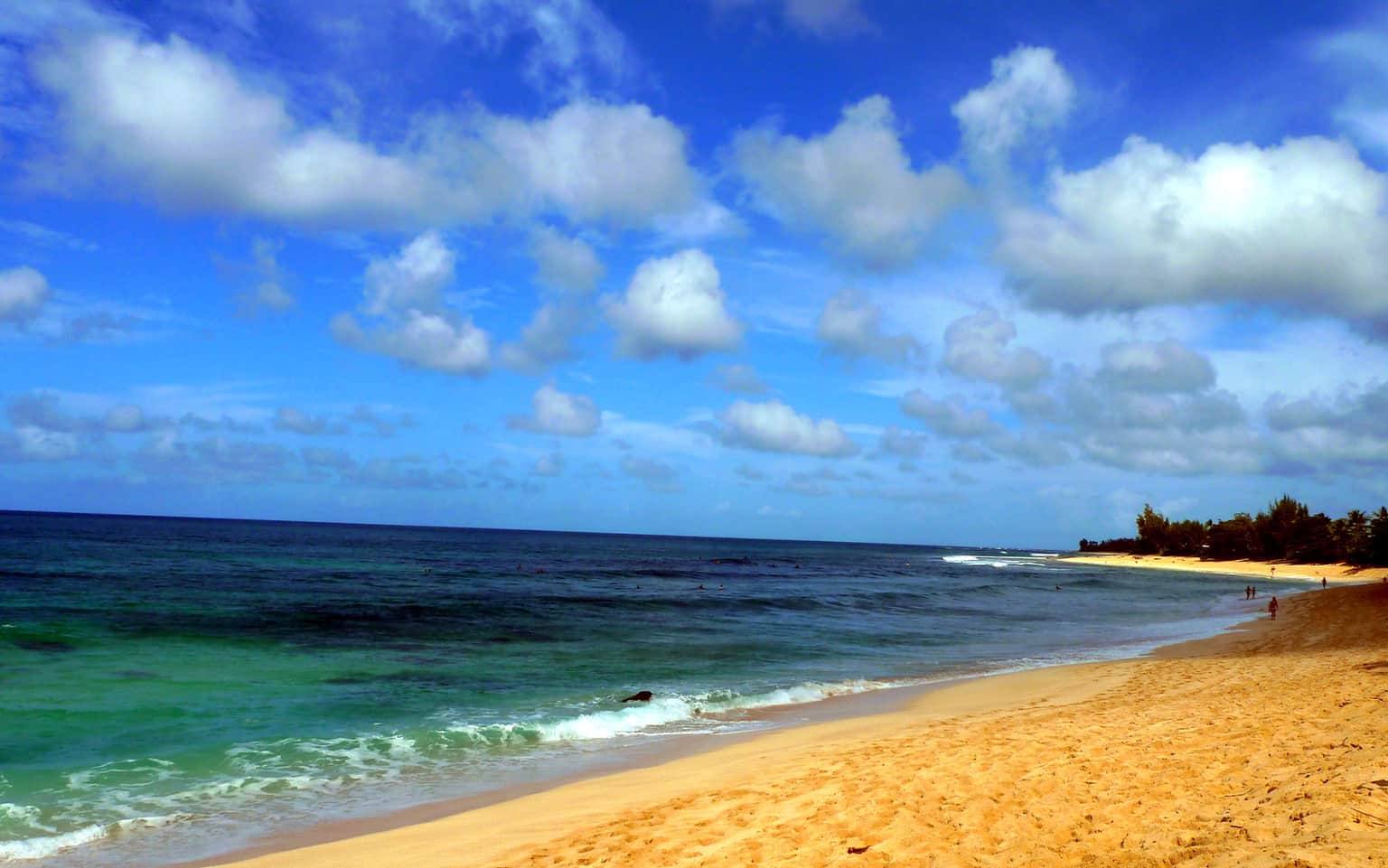 North Shore, <em>Hawaii</em>