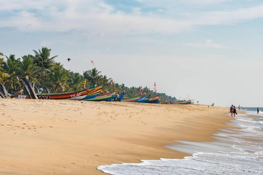 Alleppey Sightseeing Tour Image