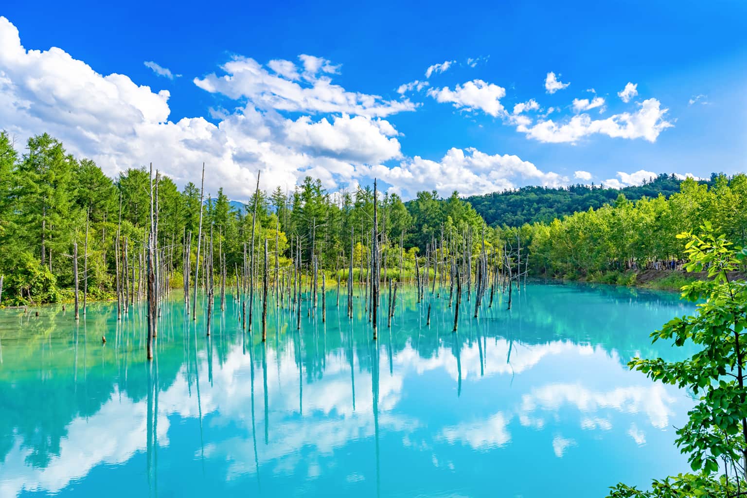 Things to do in <em>Hokkaido</em>