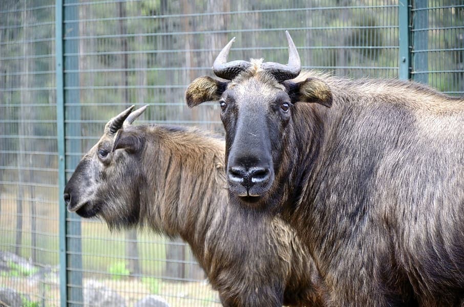 Wonders of Bhutan | FREE Excursion to Paro Image