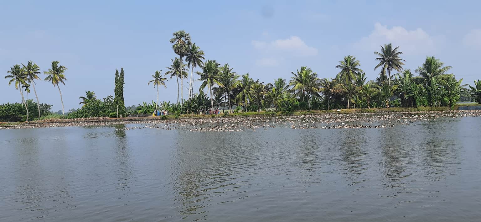 Photo from Sanjay Dani's trip