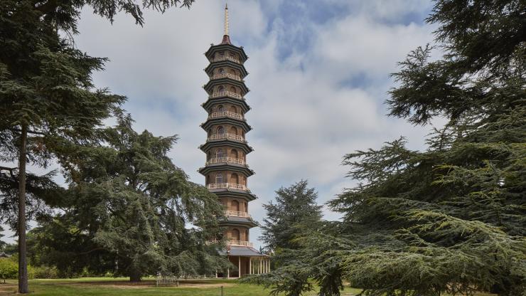 Climb the Great Pagoda
